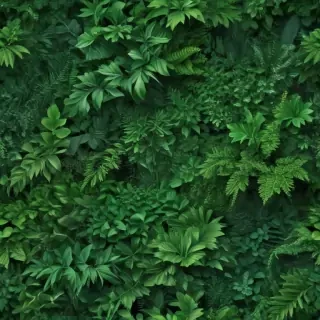green backgrounds aesthetic