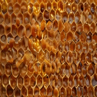 honeycomb png