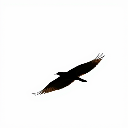 Create a high-resolution image of a minimalist black silhouette of a bird in flight against a white background, captured with a Canon EOS R5 camera at f/4 aperture, ISO 100, shutter speed 1/500s, 85mm lens, slight top-down view with soft natural lighting.