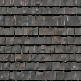 pictures of shingles