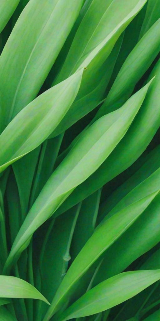 green background wallpaper aesthetic