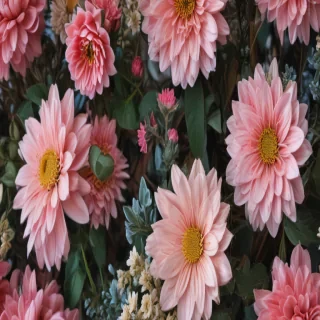 iphone backgrounds floral