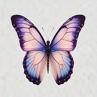 transparent background butterfly png