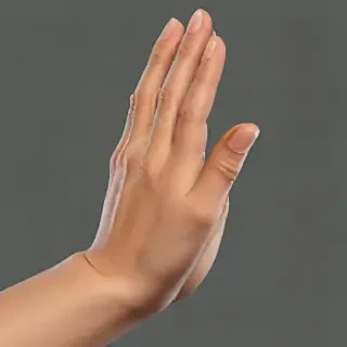 praying hand png