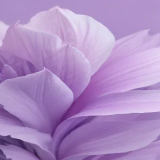 pastel purple wallpaper iphone
