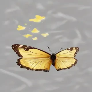 butter fly png