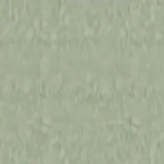 sage green backround