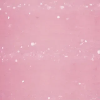 cute plain backgrounds