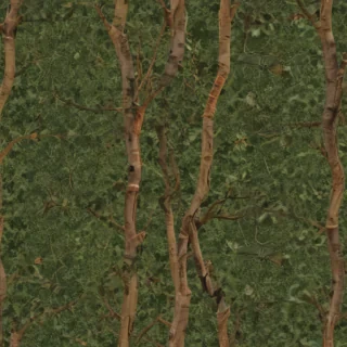 tree background