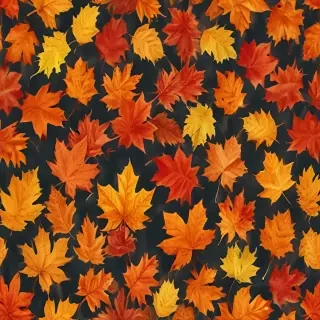 autumn leaves png