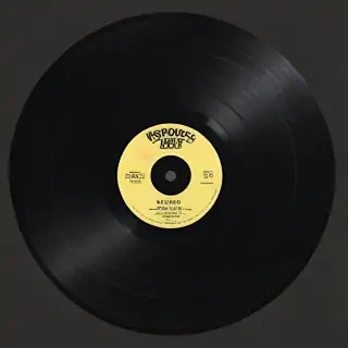 vinyl png