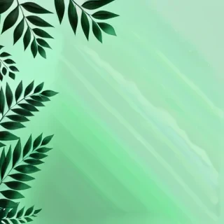 aesthetic green bg