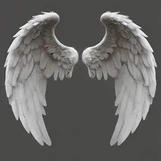 transparent angel wings png