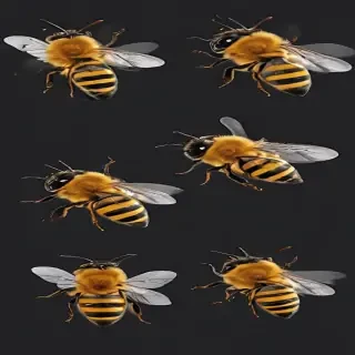 bees png