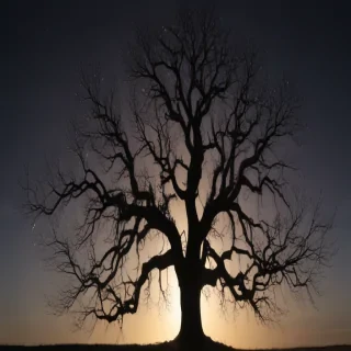 transparent tree silhouette