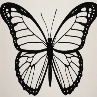 black butterfly outline