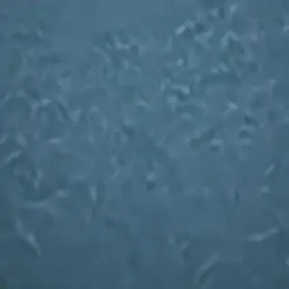 blue background iphone