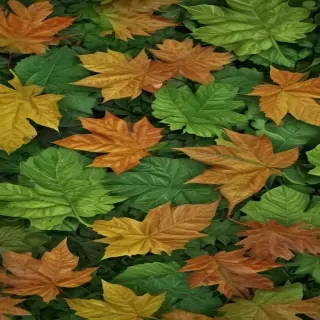 leaf backgrounds