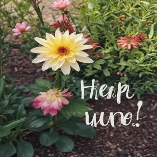 hello june images