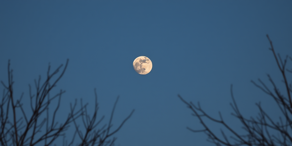 moon frawing