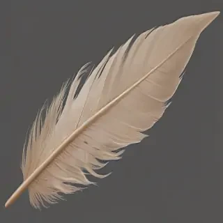 feather png