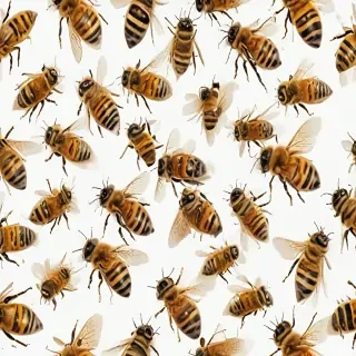 bees png