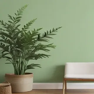 sage green wallpaper aesthetic