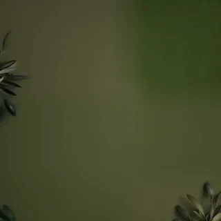 olive green aesthetic wallpaper