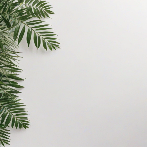 white background aesthetic