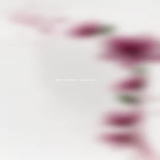 transparent flower background