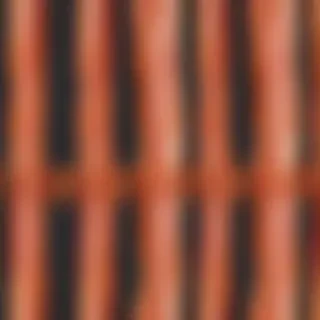 bacon png