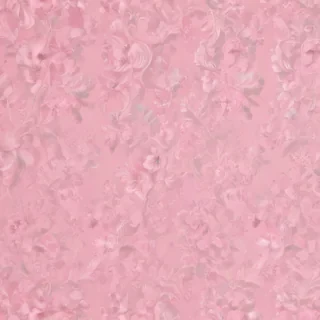 pink wallpaper plain
