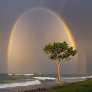 rainbow pictures