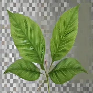 green leaf png
