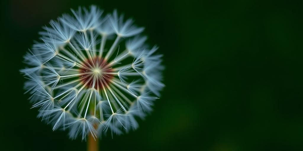 macro shot of a dandelion seed head with a blurred dark green background, f/2.8 aperture, 1/100 sec shutter speed, ISO 100, 100mm macro lens, natural light, shallow depth of field