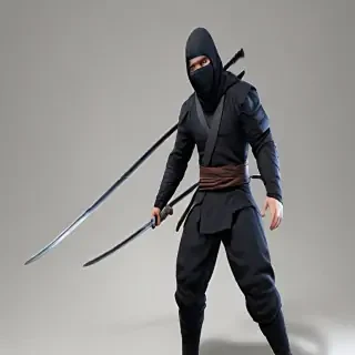 ninja png