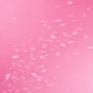 pink zoom background