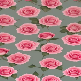 roses backgrounds