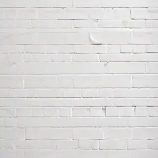 white wall paper