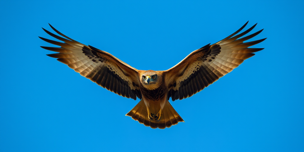 A majestic hawk in mid-flight with wings spread wide against a clear blue sky, captured with a Canon EOS R5, 300mm lens, f/4 aperture, ISO 200, 1/2000s shutter speed, using a high-resolution telephoto view for enhanced detail and clarity.