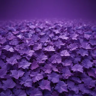 purple background cute