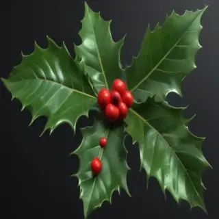 holly png
