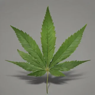 weed leaf png