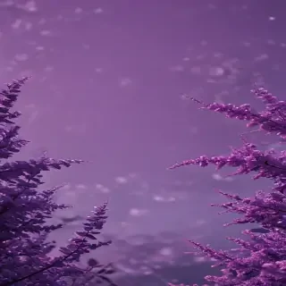 purple aesthetic wallpaper laptop