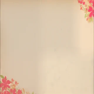 png paper