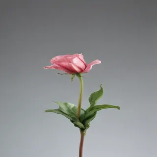 minimal iphone wallpaper