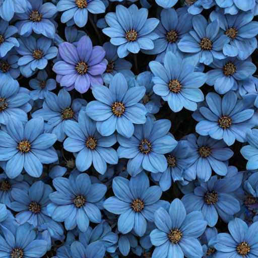 aesthetic blue flowers
