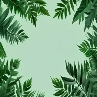 green background aesthetic