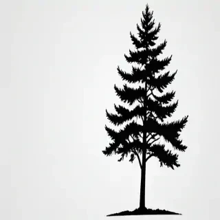 pine tree clipart black and white