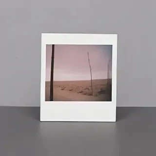 polaroid mockup